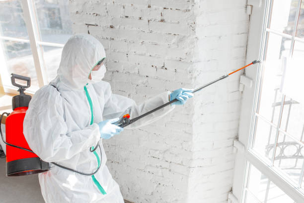 Best Mold Remediation for Rental Properties  in USA